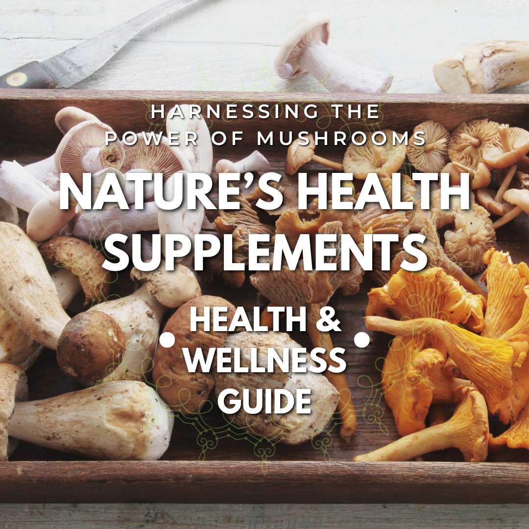 A small wood crate filled with a variety of health-beneficial mushrooms, showcasing their natural diversity