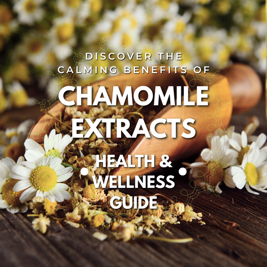 Closeup of a large wooden scoop filled with chamomile flowers and ground chamomile leaves, emphasizing herbal wellness