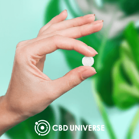 CBD Universe CBD Mints - 6ct (a Sweets) made by CBD Universe sold at CBD Emporium